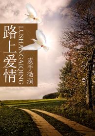 路上爱情TXT全集封面