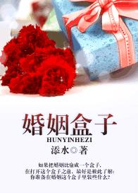 婚姻盒子TXT全集封面