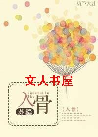 入骨TXT全集封面