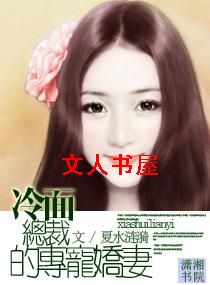 冷面总裁的专宠娇妻TXT全集封面