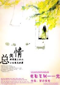 总关情TXT全集封面