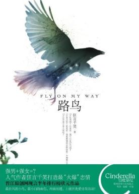 路鸟TXT全集封面