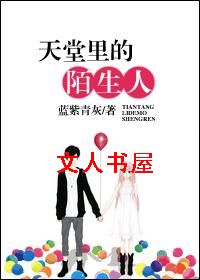 天堂里的陌生人TXT全集封面