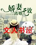 娇妻,离婚无效TXT全集封面