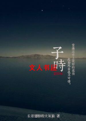 子时TXT全集封面