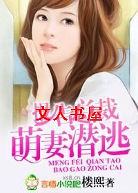 报告总裁,萌妻潜逃TXT全集封面