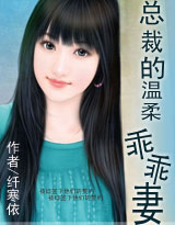 总裁的温柔乖乖妻TXT全集封面