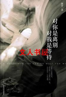 对你是离别,对我是等待TXT全集封面