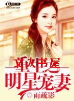 重生之明星宠妻TXT全集封面