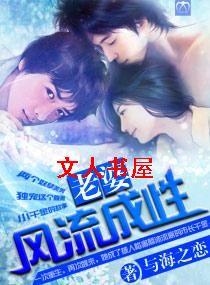 老婆,风流成性TXT全集封面