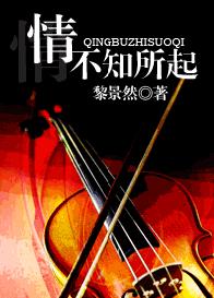 情不知所起TXT全集封面