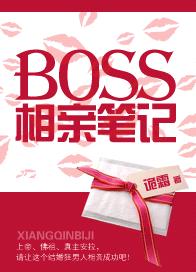 BOSS相亲笔记TXT全集封面