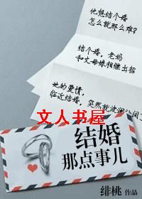 结婚那点事儿TXT全集封面