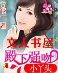 殿下强吻小丫头TXT全集封面