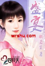 盛宴TXT全集封面