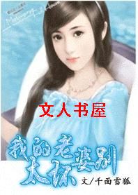 坐怀不乱:我的老婆,别太坏TXT全集封面