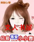 总裁毒爱小小妻TXT全集封面