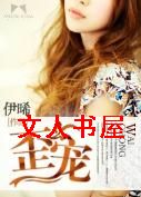 歪宠TXT全集封面