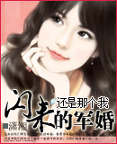 闪来的军婚TXT全集封面