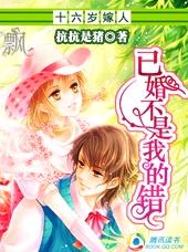 十六岁嫁人:已婚不是我的错TXT全集封面