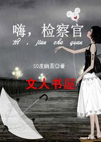 嗨,检察官TXT全集封面