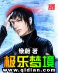 极乐梦境TXT全集封面