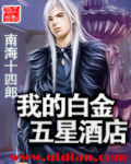 我的白金五星酒店TXT全集封面