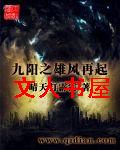 九阳之雄风再起TXT全集封面