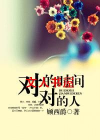 对的时间对的人TXT全集封面