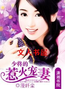 少将的惹火宠妻TXT全集封面