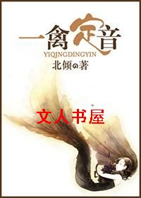 一禽定音TXT全集封面
