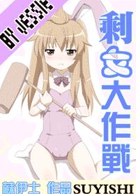 剩女大作战TXT全集封面
