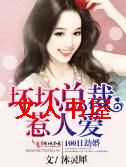 100日劫婚,坏坏总裁惹人爱TXT全集封面