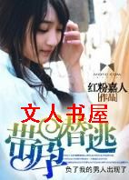 带孕潜逃TXT全集封面