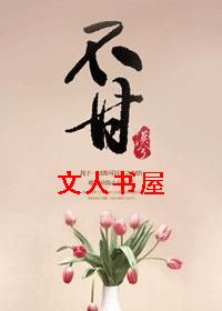 不甘TXT全集封面