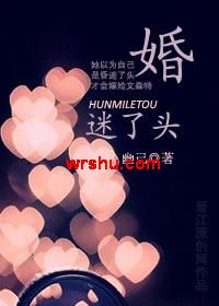 婚迷了头TXT全集封面