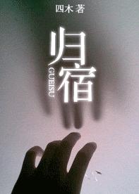 归宿TXT全集封面