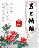 男妃倾国TXT全集封面