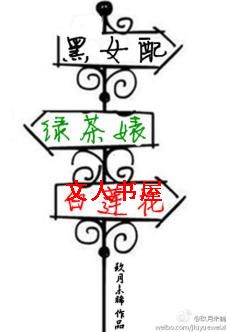 黑女配,绿茶婊,白莲花TXT全集封面