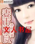 妻本贤良TXT全集封面