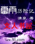 雷雨历险记TXT全集封面