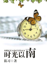 时光以南TXT全集封面