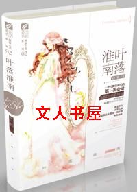 叶落淮南TXT全集封面