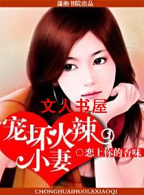 宠坏火辣小妻TXT全集封面