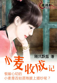 小麦收成记TXT全集封面