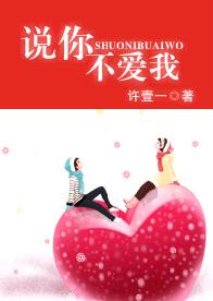 说你不爱我TXT全集封面