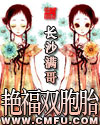 艳福双胞胎TXT全集封面