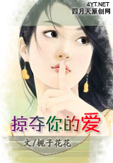 掠夺你的爱TXT全集封面