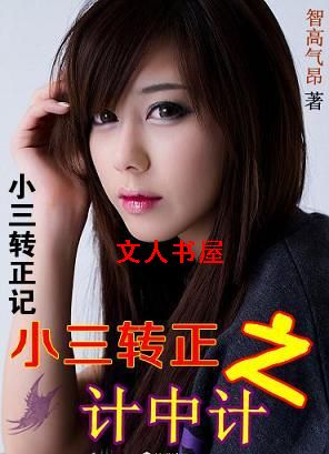 小三转正之计中计TXT全集封面