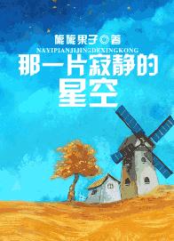 那一片寂静的星空TXT全集封面